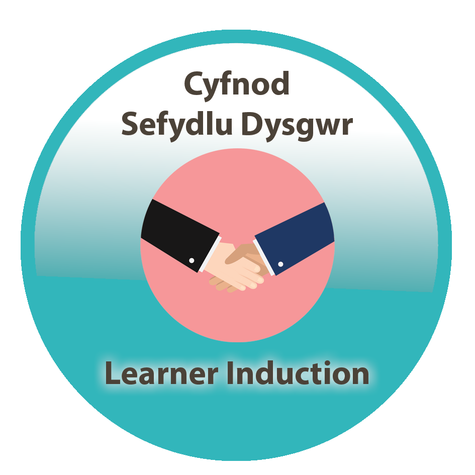 learner induction